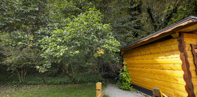 Bar Maln - Gastronomija in gostinstvo