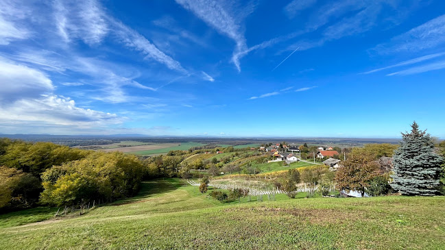 Comentarii opinii despre Okrepčevalnica Sini