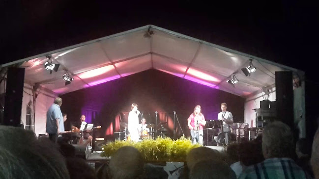 Cafe galerija Pungert