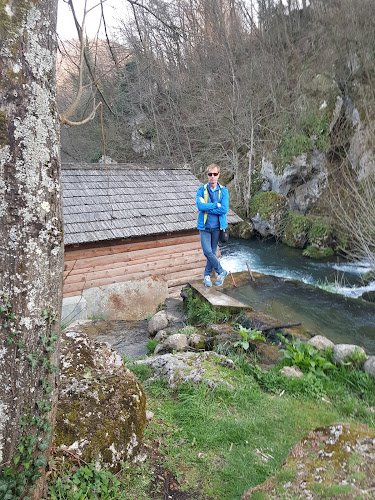 MIŠKO, dnevni bar - Gastronomija in gostinstvo