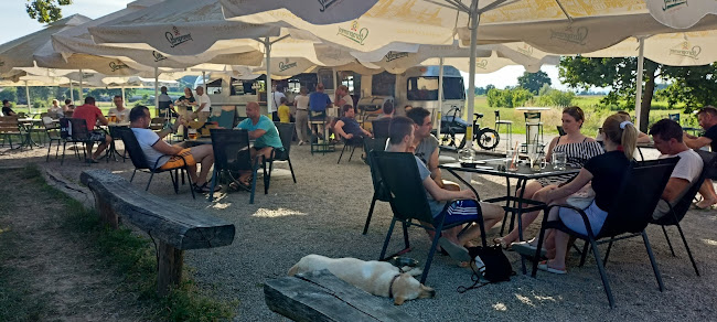 Beachbar Kostanjevica na Krki - Gastronomija in gostinstvo