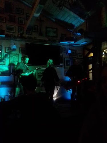 Vopa Pub - Gastronomija in gostinstvo