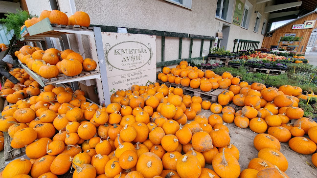 Cesta Urške Zatlerjeve 1, 1000 Ljubljana