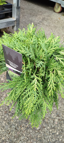 Opinii despre Kmetijska zadruga Trebnje z.o.o. în Trebnje - Gastronomija in gostinstvo