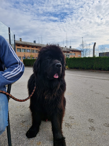 Kava bar peron - Kočevje