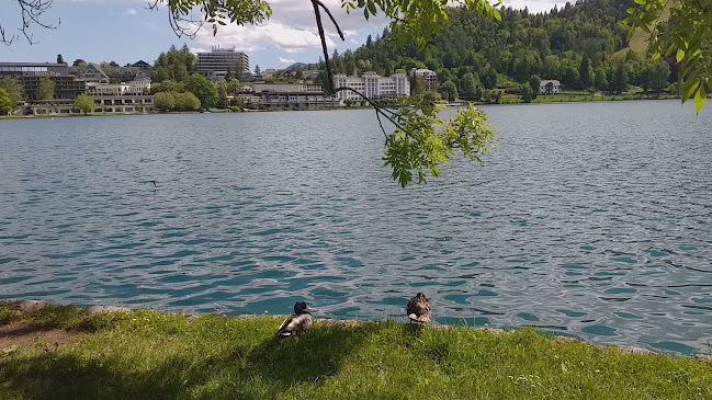 Opinii despre Vila Prešeren Bled în Bled - Gastronomija in gostinstvo