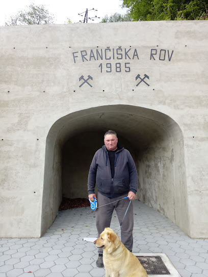 Kovacovici Cazins Slika