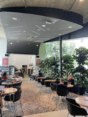 STOW COFFEE - Gastronomija in gostinstvo