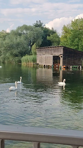 Comentarii opinii despre Vista bar