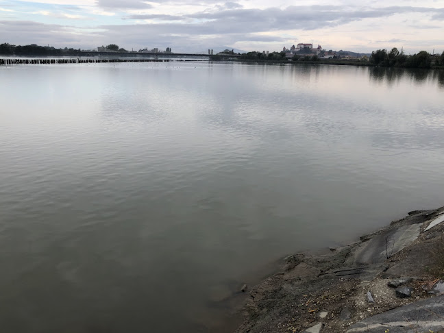 Ptujsko morje - Ptuj