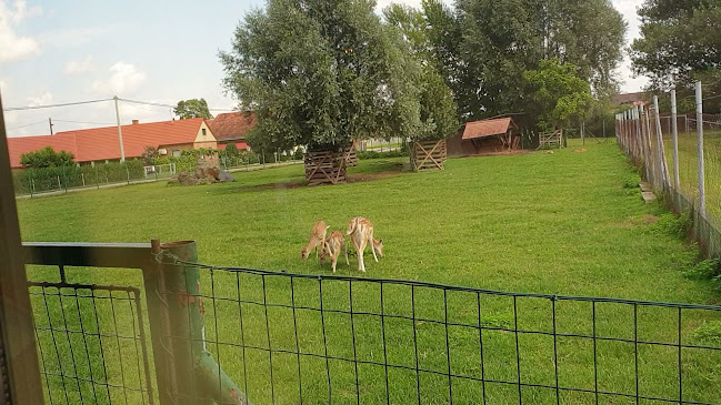 Glavna ulica 15, 9220 Kapca