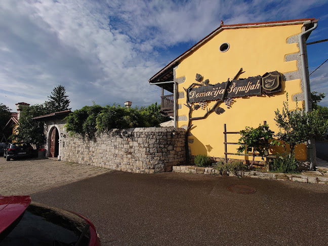 Comentarii opinii despre Gostilna Domačija Šajna - Šepulje