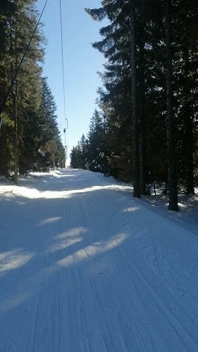 Opinii despre PICERIJA ZLATI ŠKORPIJON - Vanja Perc s.p. în Lovrenc na Pohorju - Gastronomija in gostinstvo