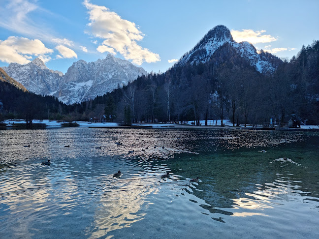 Opinii despre Gostilna Jasna - jedi treh dežel în Kranjska Gora - Gastronomija in gostinstvo