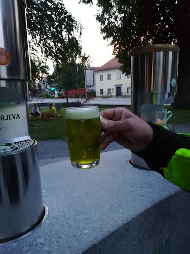 Fontana piva Žalec - Gastronomija in gostinstvo