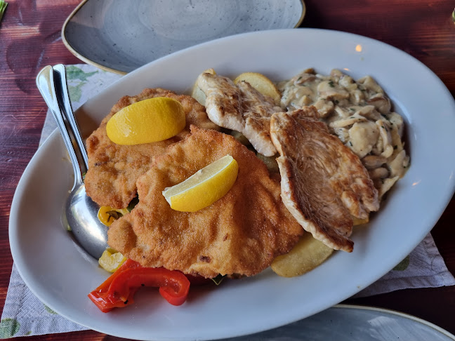 Ošterija Branik Patricija Furlan s.p. - Gastronomija in gostinstvo