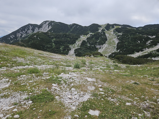 Comentarii opinii despre Orlove glave