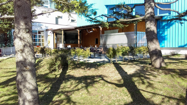 OAZA Sport Bar - Gastronomija in gostinstvo