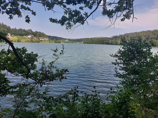 Brkati som - Šmartno v Rožni dolini