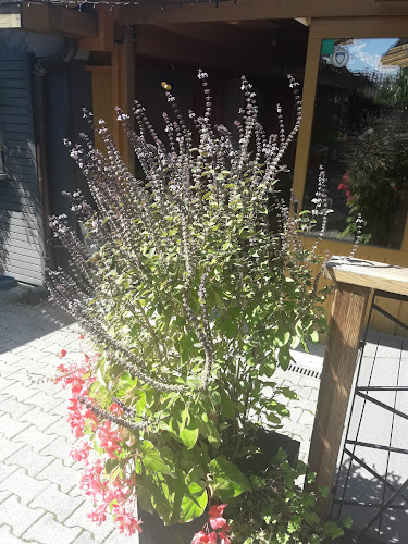 Tavčarjeva ulica 35, 4000 Kranj