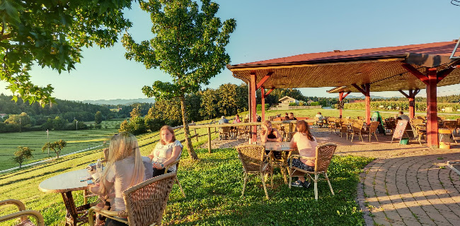 Gostinstvo, Pušn šank - Gastronomija in gostinstvo
