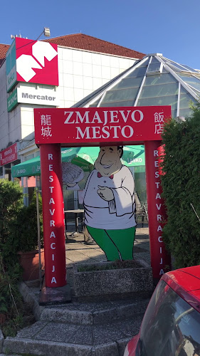 Opinii despre Kitajska restavracija Zmajevo Mesto în Novo mesto - Gastronomija in gostinstvo