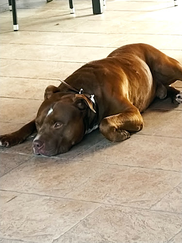 Bar Kralj Union - Uršna sela