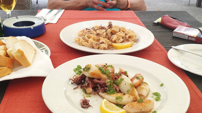 Raztez 1a, 8280 Brestanica