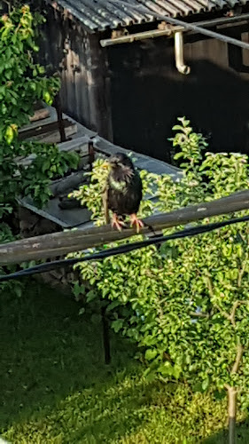 Taleška ulica 3, 4248 Lesce