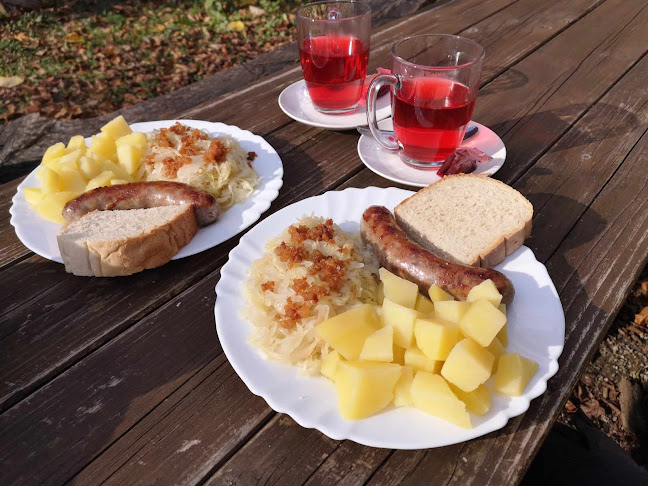 Koča pri Francetovi jami Andreja Florjan s.p.