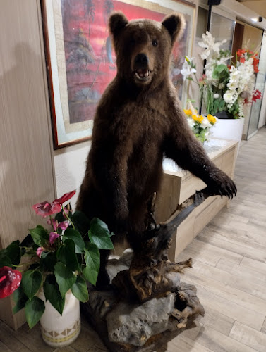 Pizzerija Carmen Karlen Bukovec s.p. - Mirna