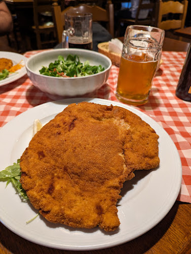 Comentarii opinii despre Kratochwill