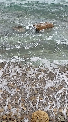 Punta Beach Bar - Gastronomija in gostinstvo