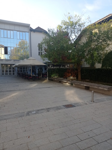 Kavarna Kino - Gastronomija in gostinstvo