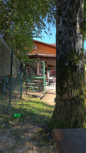 Bar Gušt, Katja Stuhne s.p