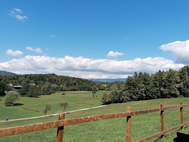 Dobrova 32, 3000 Celje