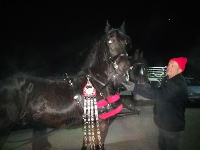 Comentarii opinii despre AMIGO BAR, Eva Sebanc s.p.