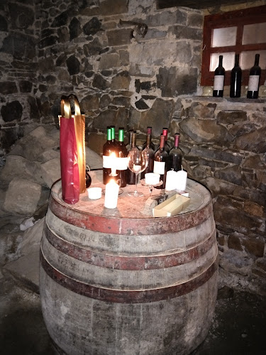 Cejkotova domačija Davorin Mesesnel - dopolnilna dejavnost na kmetiji - Vipava