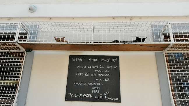 Cat Caffe Ljubljana