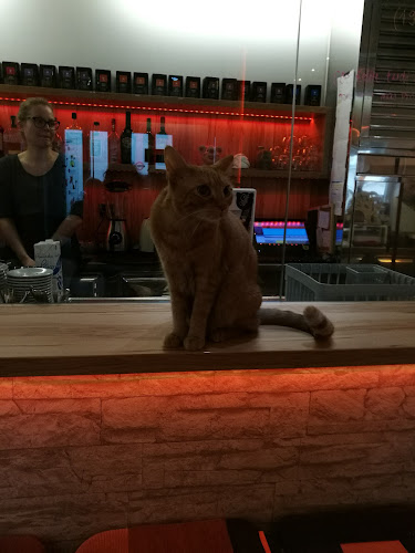 Cat Caffe Ljubljana - Gastronomija in gostinstvo
