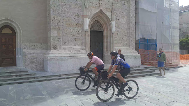 Opinii despre Gostilna Stari Mayr în Kranj - Gastronomija in gostinstvo