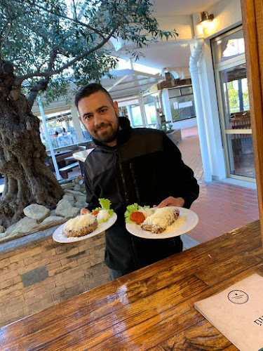 Comentarii opinii despre Roštilj