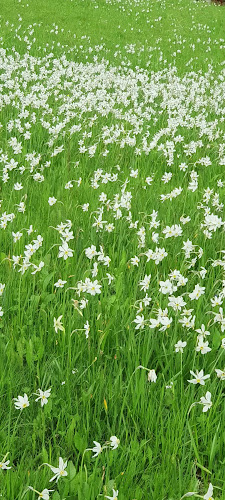 Comentarii opinii despre Dom Pristava