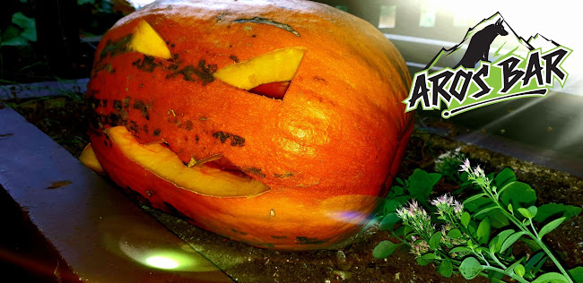 Ulica Mesta Grevenbroich 13, 3000 Celje