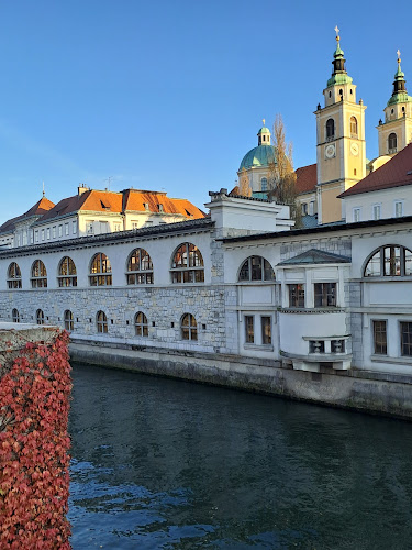 Cacao - Gastronomija in gostinstvo