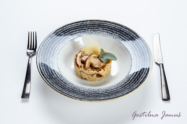 Comentarii opinii despre Gostilna Januš Blažka Januš Gedrih s.p.