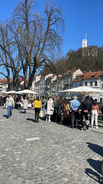 Nedeljski bolšji trg - sejem starin v Ljubljani • Flea Market Ljubljana - Antique fair