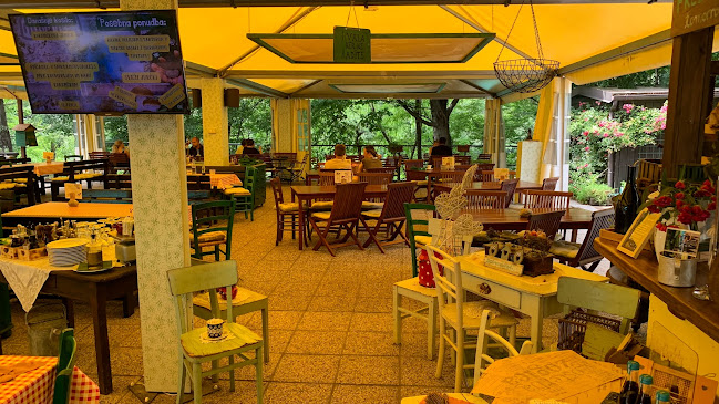 Ošterija Žogica - Gastronomija in gostinstvo