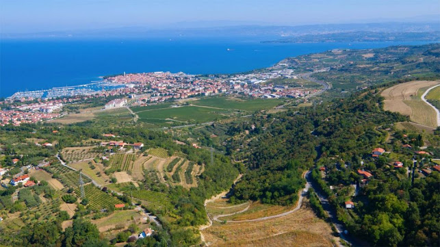 Bar Šaredin - Gastronomija in gostinstvo