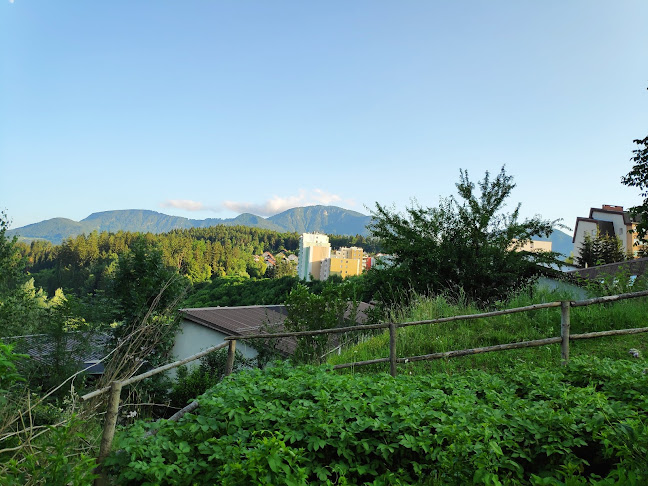 Opinii despre Okrepčevalnica Čista 10ka în Ravne na Koroškem - Gastronomija in gostinstvo